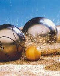 Le voici lors de sa visite au refuge, avec axel, un de nos filleuls. Idee Loisir Comment Organiser Un Concours De Petanque Entre Amis 17 07 2012 Infoptimum