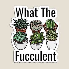 Succulent flowers will not grow into new succulent plants. House Plant Magnets Redbubble