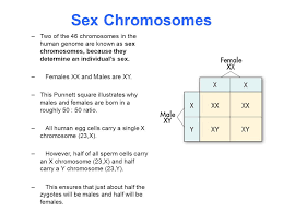Check spelling or type a new query. 14 1 Human Chromosomes Key Questions 1 What Is A Karyotype 2 What Patterns Of Inheritance Do Human Traits Follow 3 How Can Pedigrees Be Used To Analyze Ppt Download