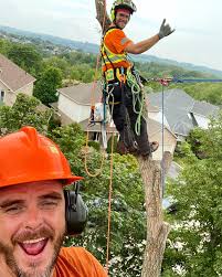 🤟Brian and Ryan up in the tree tops!🌳 www.aberdeentreeservices.ca #hamont  #ancaster #dundas #climbing #arborist #arblife #trees #chainsaw #husqvarna  #caledonia #brantford