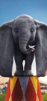 Check spelling or type a new query. Elepant Ando The Most Beautiful Elephant In The World Album On Imgur