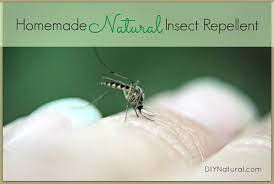 Check spelling or type a new query. Homemade Mosquito Repellent Keep Mosquitos Bugs Away Naturally