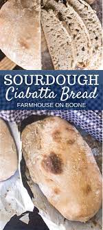 Sourdough Ciabatta Bread Recipe Ciabatta Bread Bread Food