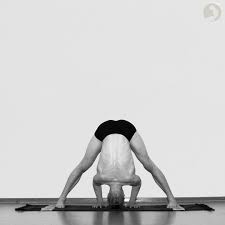 Prasarita Padottanasana Standing Straddle Forward Bend Wide Legged Forward Bend Yogaasan