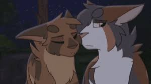 See more ideas about warrior cats, warrior, warrior cats art. Top 30 Warrior Cats Gifs Find The Best Gif On Gfycat