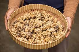 Its popularity was slow to rise outside the immediate area, indonesia, philippines and south east asia. The World S Most Expensive Coffee Made From Poop Of Civet Cat Is Made In India Hindustan Times