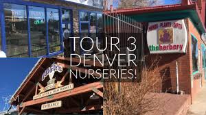 Gilbert nursery and seed trade catalog collection. Plant Shopping At 3 Denver Colorado Nurseries The Plant Room The Herbery And Nick S Youtube