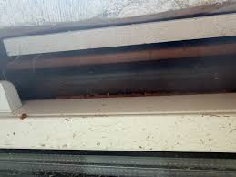 Image result for site:byggahus.se stål