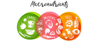 Possibly linked with reducing risk of dementia. Macronutrients For 6 12 Month Old Babies Little Etoile