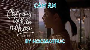 Tại kênh tiktok @nguyenhaofficial để cả nhà mình cùng có thêm sự lựa chọn cho việc theo dõi cũng như ủng hộ. Cáº£m Am Chá» Ngay Lá»i Há»©a Ná»Ÿ Hoa Nguyen Ha