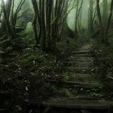 132 Mysterious Forests You D Love To Get Lost In Mystical Forest Magical Forest Stairs In The Forest