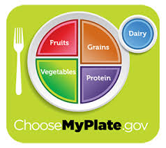 The Choosemyplate Food Guide Girlshealth Gov