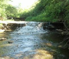 Briggs Woods Waterfall Waterfall Photo Outdoor