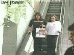 Maybe you would like to learn more about one of these? After Sufficient Evidence Congress Has Passed A Law Declaring That All Citizens Must First Earn A License Before Being Allowed To Operate An Escalator Album On Imgur