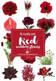 Names And Types Of Red Wedding Flowers With Seasons Pics Red Wedding Flowers Wedding Flower Types Green Garlands Wedding
