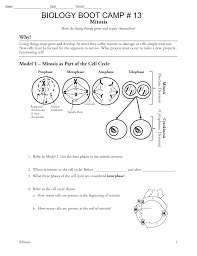 Bootcamp 13 16 Mitosis S 13 Signed