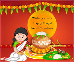 Get best pongal wishes in tamil from our blog. Pongal Messages Pongal Sms Wishes Free Dgreetings
