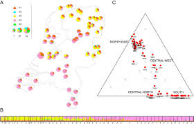 Admixture Analysis Of The Dutch Samples A Pie Chart Map Of