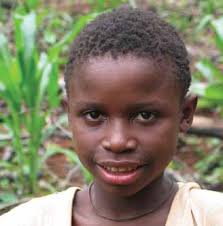 rethinking community based forest management in the congo basin