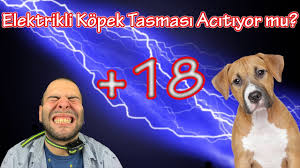 Elektrikli Kopek Tasmasi Ne Kadar Acitiyor 18 Youtube