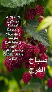 صباح الفرج Good Morning Arabic Good Night Messages Good Morning Images
