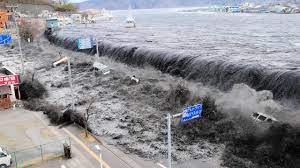 We did not find results for: The School Beneath The Wave The Unimaginable Tragedy Of Japan S Tsunami Tsunamis The Guardian