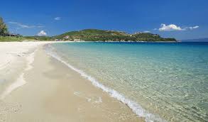 Check spelling or type a new query. Zionwwca106 Over Blog Com