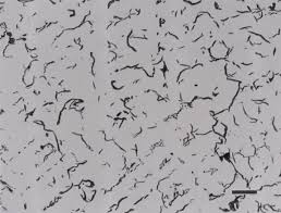 13.02.2006 număr de pagini : Https Sim Utcluj Ro Stm Download Sim Curs 206 Pdf