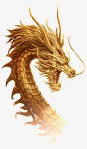 Some people, including me, require several. Golden Dragon Transparent Illustration Chinese Dragon Png Image Transparent Png Free Download On Seekpng