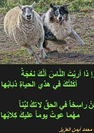 Pin On أرق الكلمات