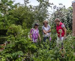 Zum zwölften mal sollten in diesem jahr die „offenen gärten im ruhrbogen stattfinden. Offene Garten In Wittenberg Akkurat Bis Antiautoritar Mz De