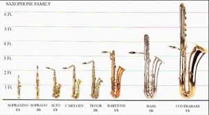 33 proper saxophone size chart