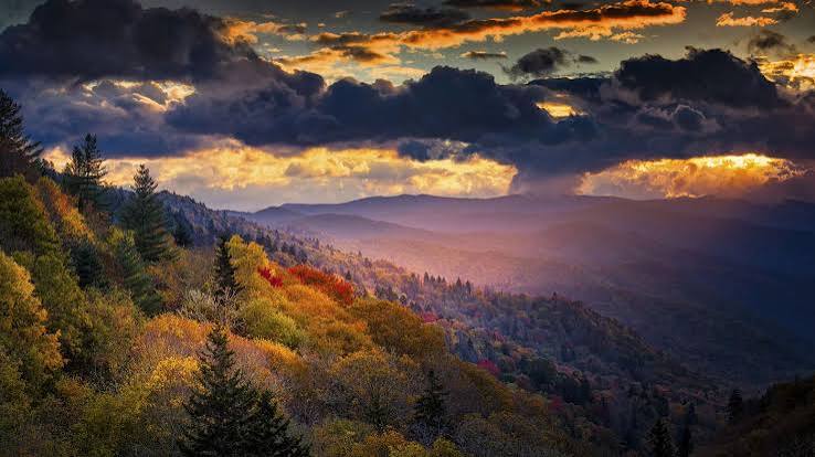 Best Hikes in Great Smoky Mountains National Park | Wildland Trekking