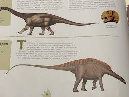 Image result for Brachystephanus