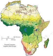 Natural vegetation map of africa history african africa map. Map Of Potential Distribution Of Vegetation Macrogroups Of Africa Natureserve