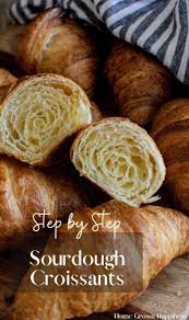 Flaky Sourdough Croissants With Step By Step Instructions Home Grown Happiness Recipe In 2020 Recipe Using Sourdough Starter Sourdough Easy Croissant Recipe