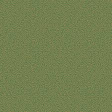 In contrast, light academia's themes are generally positive, focusing on optimism, sensitivity, joy, gratitude, friendship. Green Pattern Wallpapers Top Free Green Pattern Backgrounds Wallpaperaccess