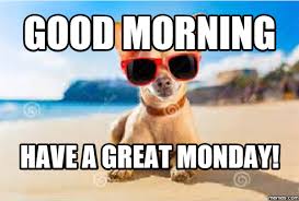 Your Regular Monday Meme Funny Monday Memes Monday Humor Monday Memes