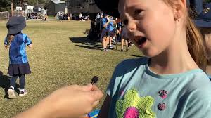 Camden South Public School