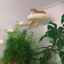 Sisal Post Step Stairs For Cats On Wall Catwalk 9 8 Cat Stairs Cat Wall Cat Diy