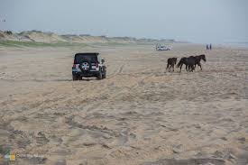 Corolla nc real estate & homes for sale. Carova Nc Guide Outer Banks North Carolina Vacation Camping In North Carolina 4x4 Beach