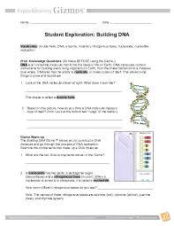 Prior knowledge questions (do these before using the gizmo.) dna is an incredible molecule that forms the basis of life on earth. Doc Building Dnase Kaylend Cumberbatch Academia Edu