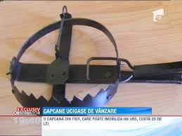 Colecție de la lacramioara repciuc • ultima actualizare acum 12 săptămâni. Capcane Care Pot Ucide Animalele Salbatice Se Vand Pe Internet Observatornews Ro