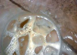 Easy rum chata recipes for this holiday season. Dulce De Leche Rum Chata Recipe By Renee Cookpad