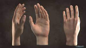 Free 3d Blender Model Download Hand Blender Models Model Blender