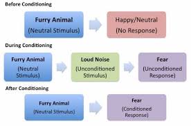 Ap Psychology Review On Twitter Ap Psychology Classical Conditioning Psychology Ap Psychology Review