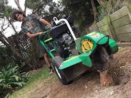 Our garden caters for it all. Kilbirnie Price Smart Landscaping And Gardening Garden Maintenance In Kilbirnie Wellington
