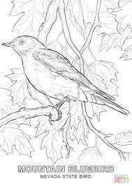 Michigan's state flower is the apple blossom. Nevada State Bird Coloring Page Free Printable Coloring Pages Coloring Home