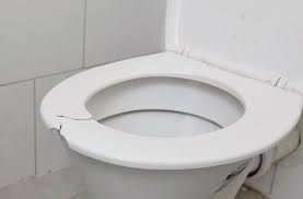 Measure the length of the toilet bowl from the center of the toilet seat bolt holes at the back of the toilet, to the front edge of the toilet bowl. How To Replace A Toilet Seat Bunnings New Zealand