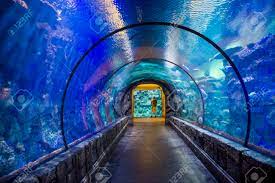 Las Vegas May 12 The Shark Reef Aquarium At Mandalay Bay Hotel And Casino In Las